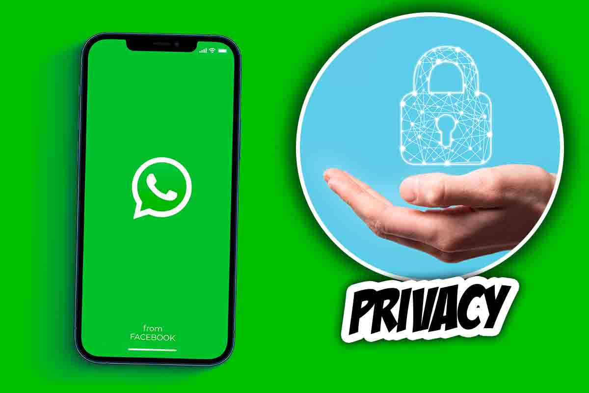 Novità di WhatsApp per proteggere la privacy